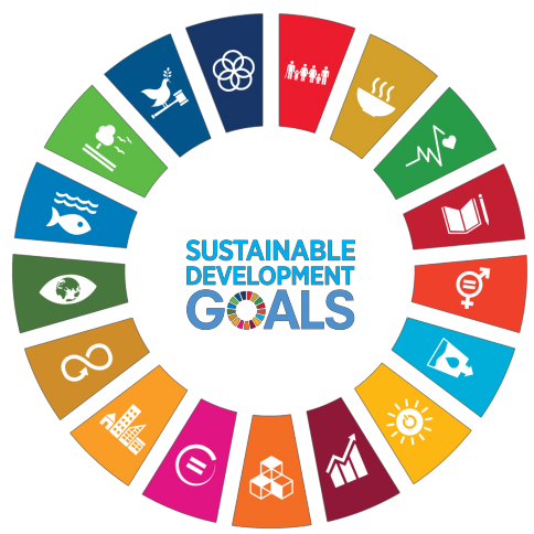 SDG Goals Logo